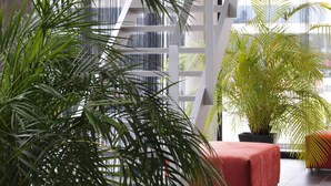 A modern interior with a staircase, large windows, and indoor plants.
