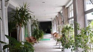 Un corridoio con piante in vaso, sedie e pavimento piastrellato.