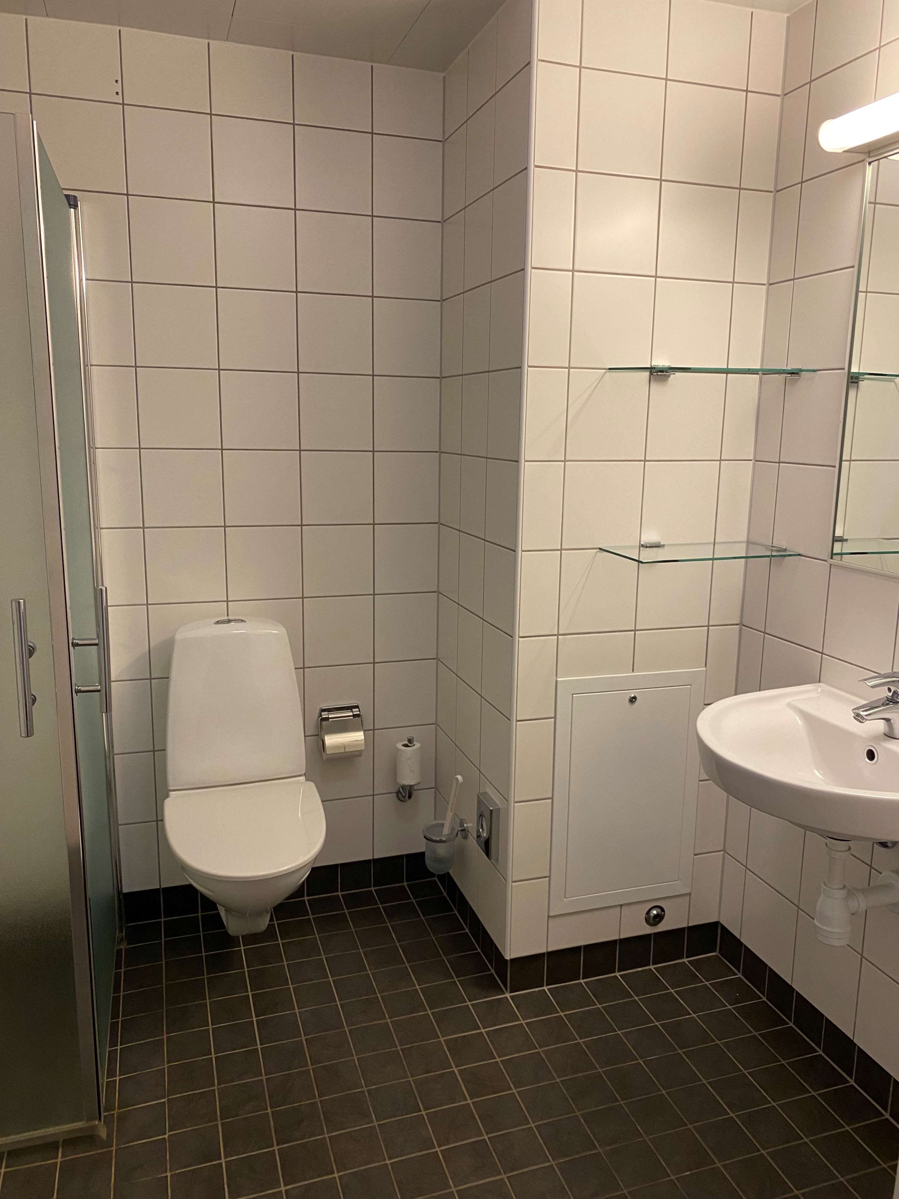 A bathroom with a toilet, a sink, a glass shower enclosure, and a mirror.