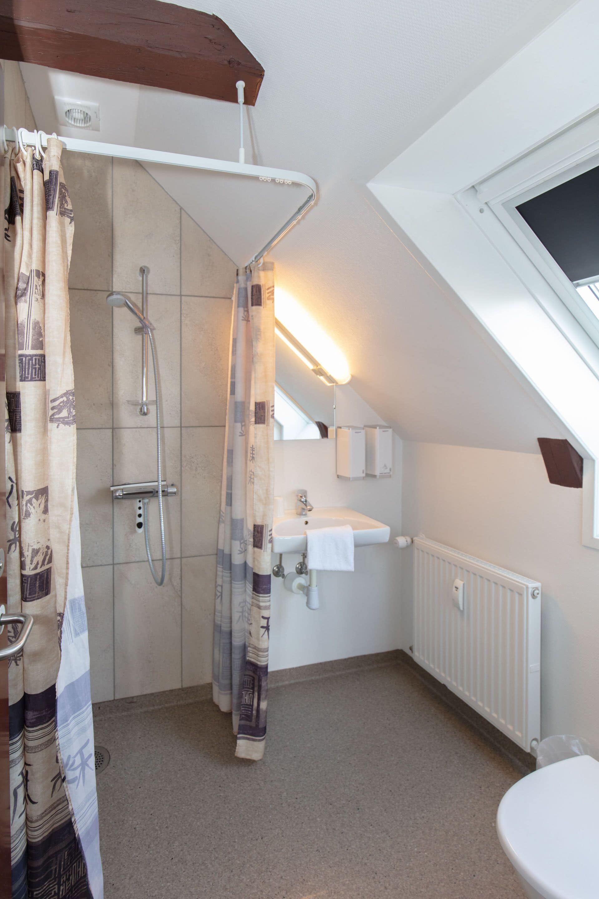 A bathroom with a shower, a sink, a toilet, and a skylight.