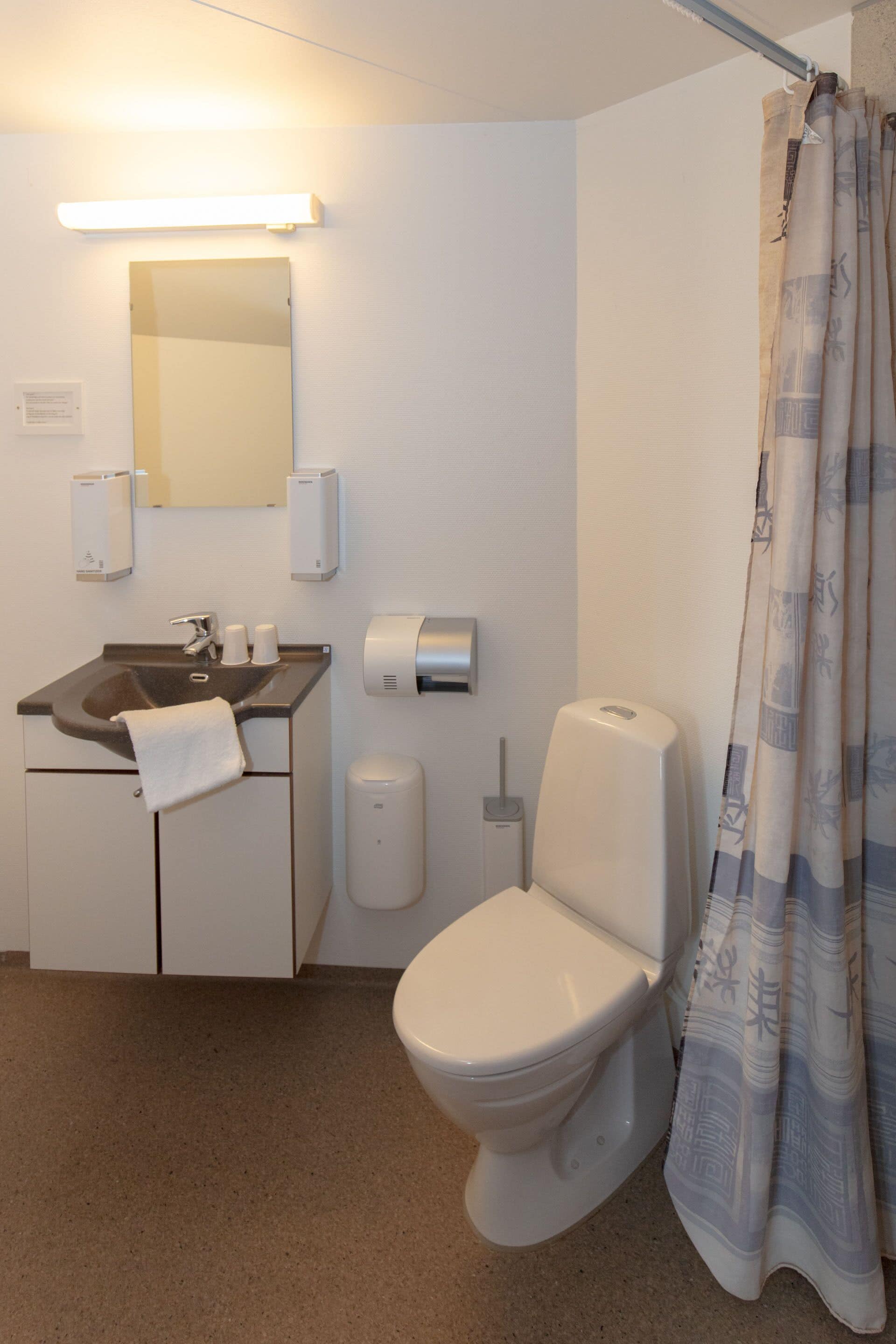 A bathroom with a sink, mirror, toilet, and shower curtain.