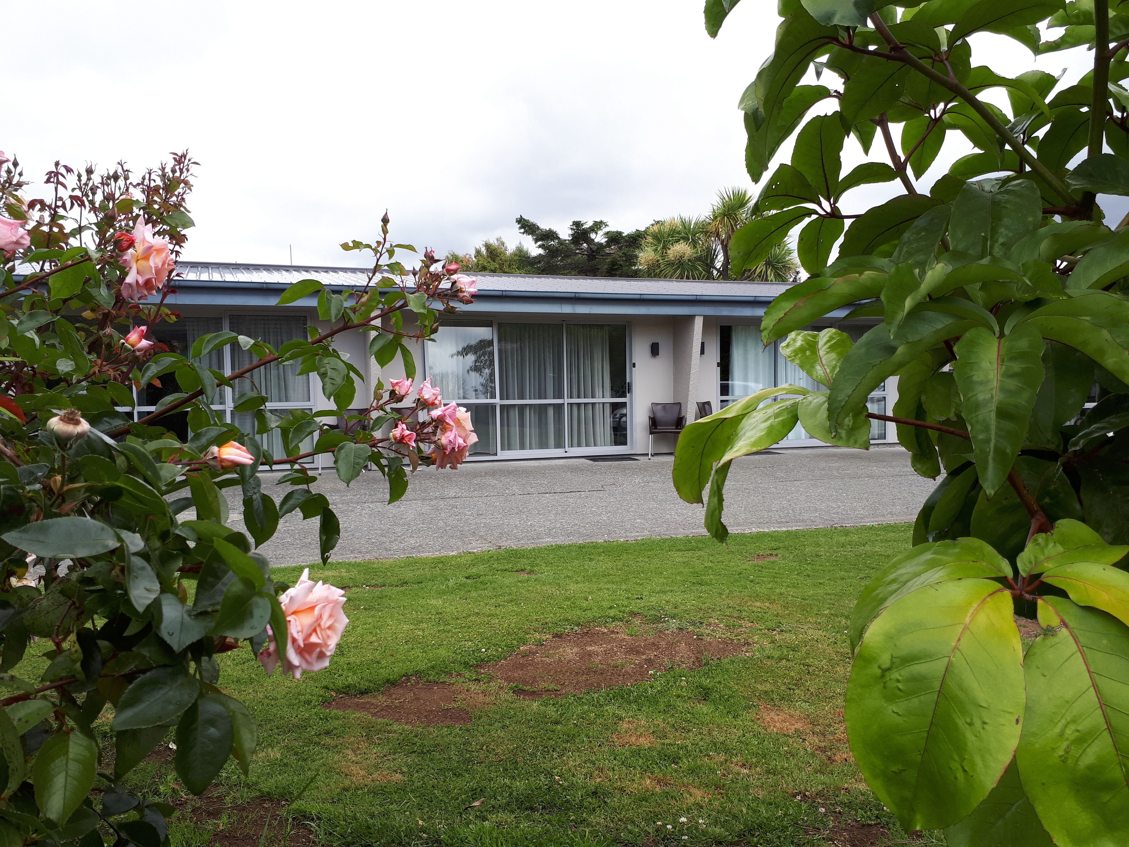 Un motel avec une pelouse verdoyante, une allée et une rangée de fleurs roses au premier plan.