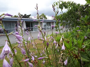 Courtyard view - Edgewater Motel Te Anau (Te Anau)