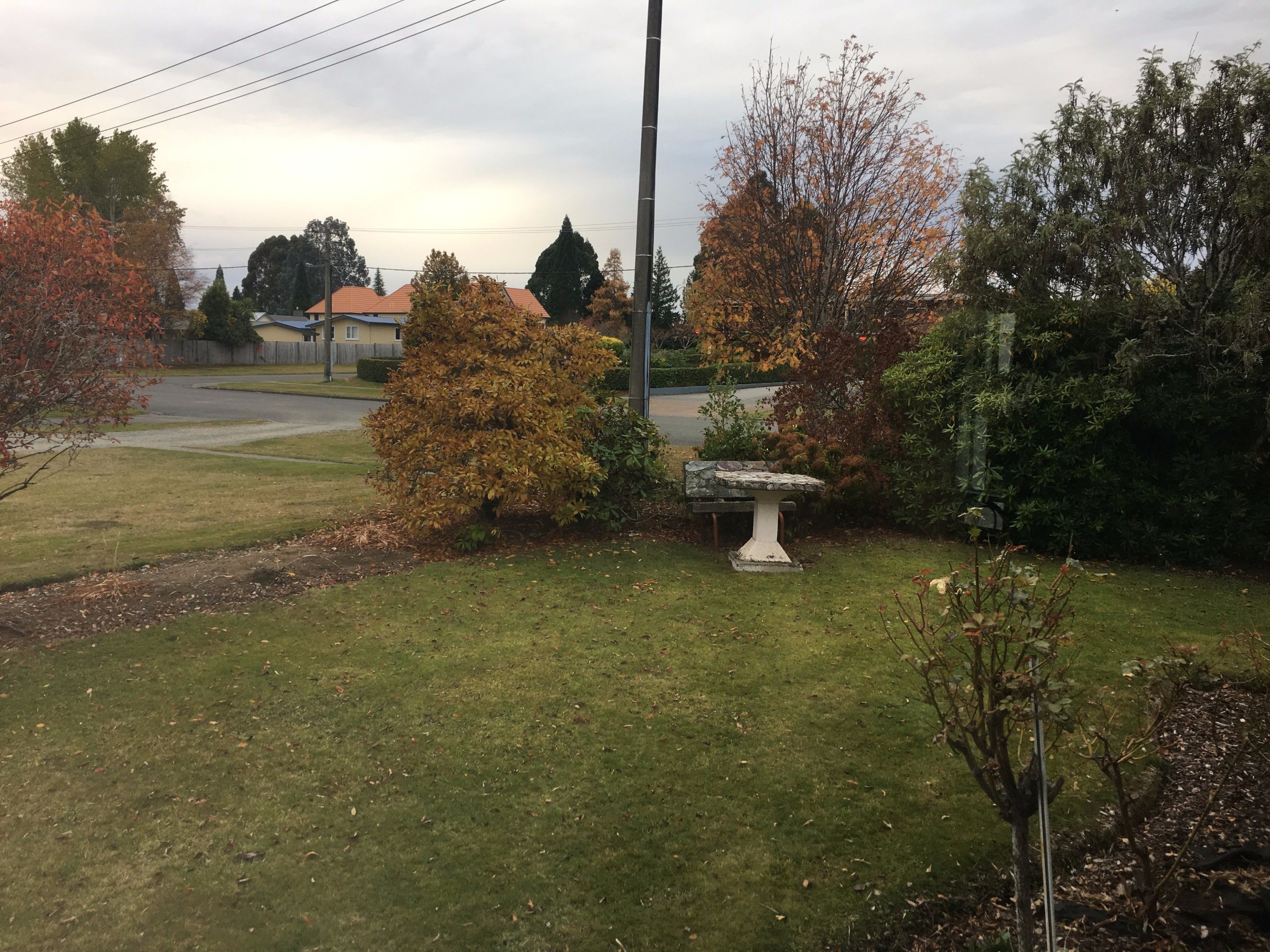 A residential garden with a stone birdbath, a lawn, and various trees.