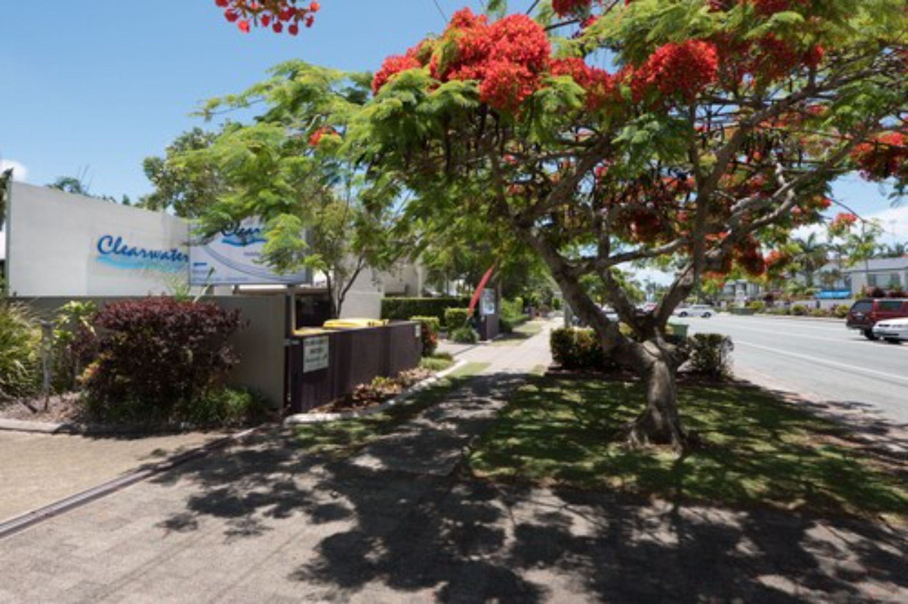 A street view with a building labeled "Clearwater" and a tree with red flowers.