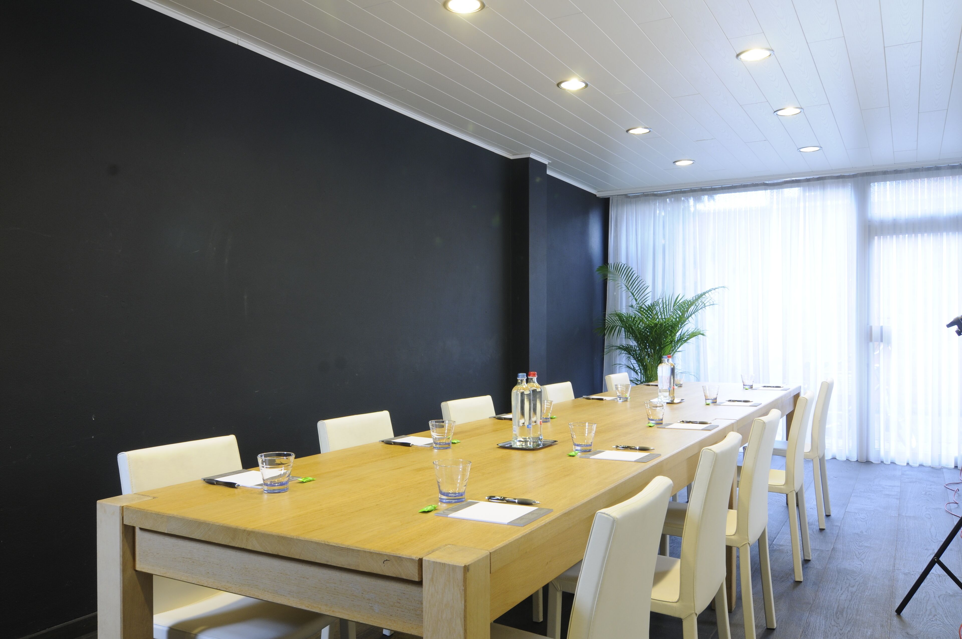 A conference room with a long wooden table, white chairs, and a potted plant.
