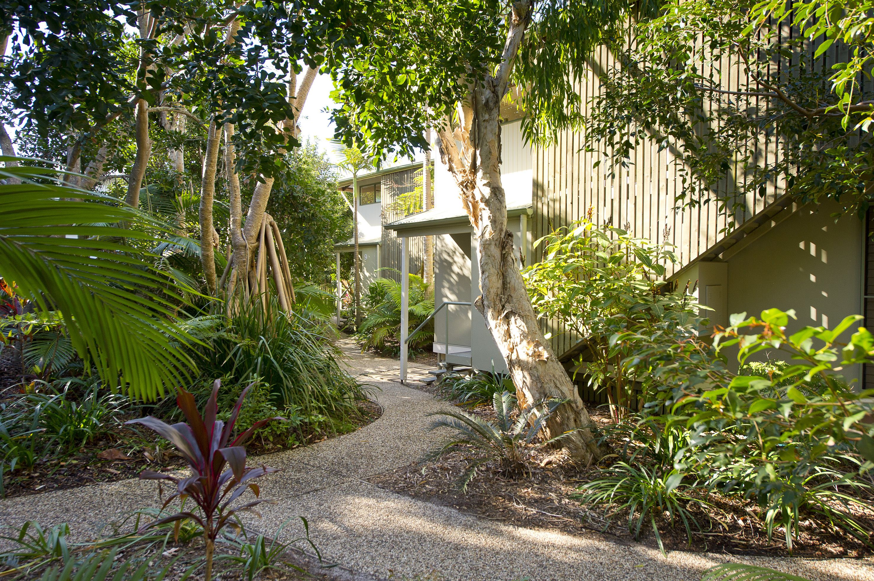 A pathway leading to a building surrounded by lush greenery and trees.