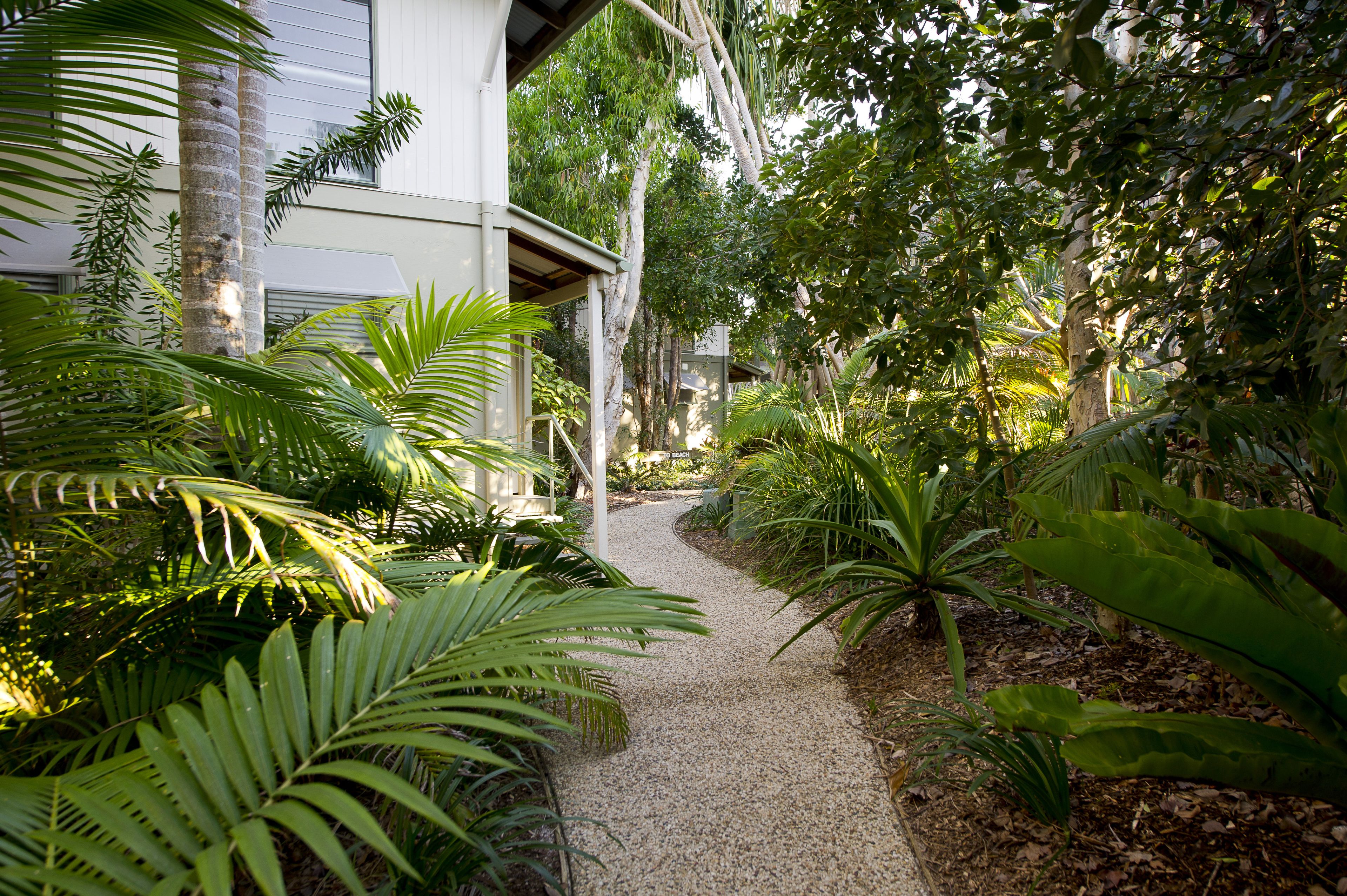 A pathway leading to a building surrounded by lush greenery and palm trees.