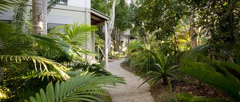 A pathway leading to a building surrounded by lush greenery and palm trees.