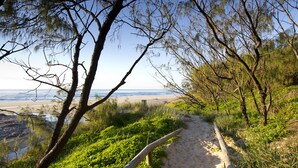 Un sentier de plage sablonneux, bordé de verdure et d’arbres.