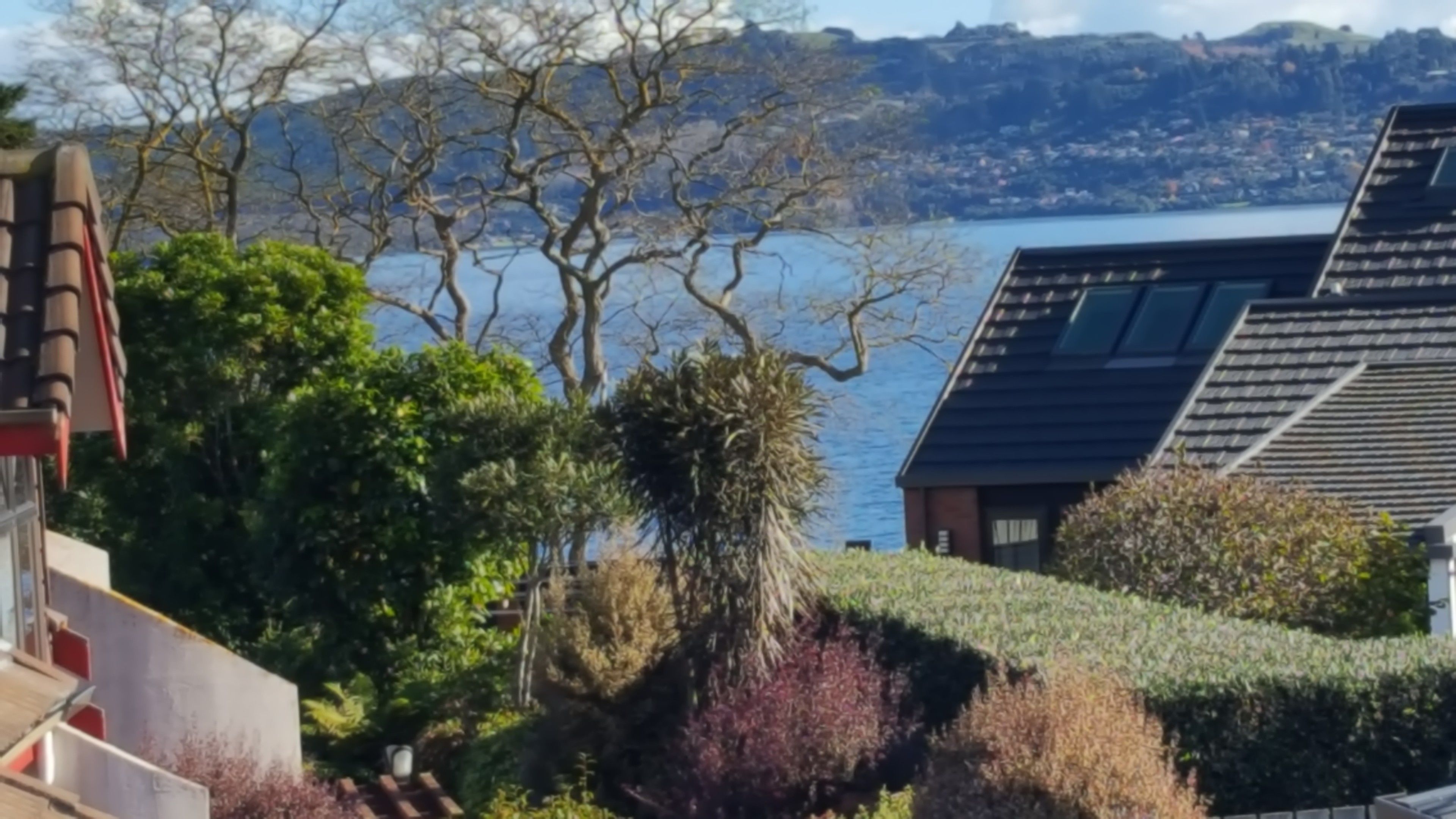 A residential area with a view of a lake, trees, and houses with sloped roofs.