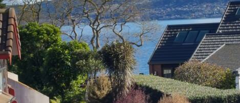 A residential area with a view of a lake, trees, and houses with sloped roofs.