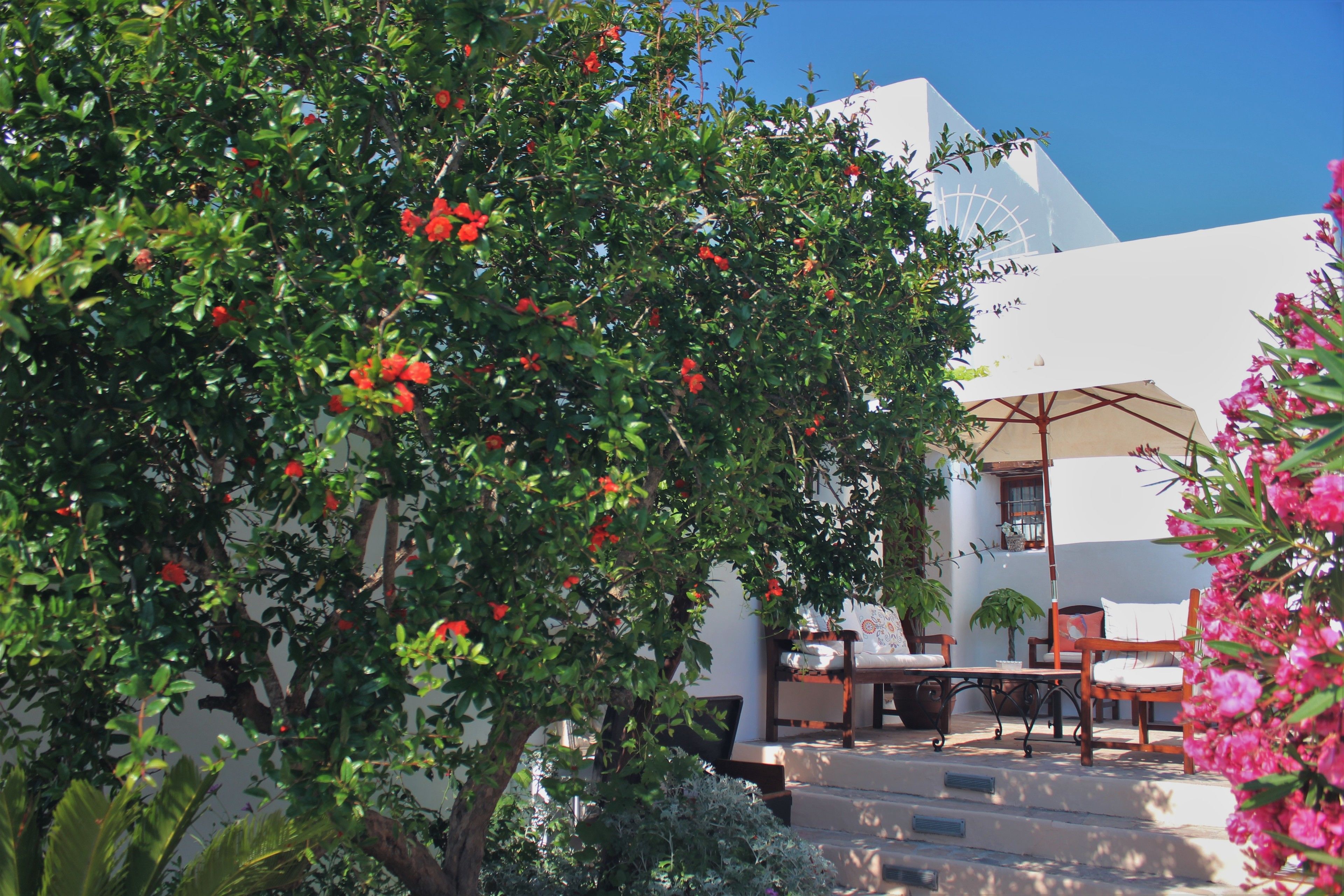 Foto - Agroturismo Can Pardal