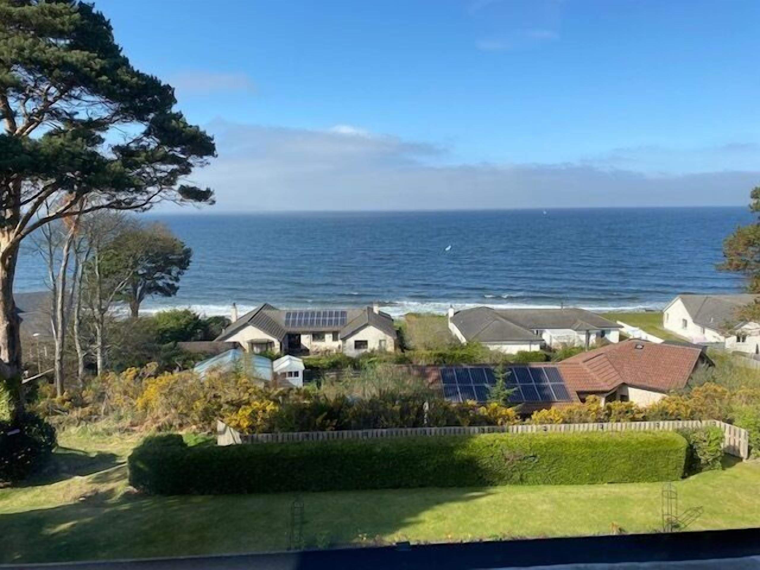 Zona residencial costera con casas, vista al mar y un árbol grande.