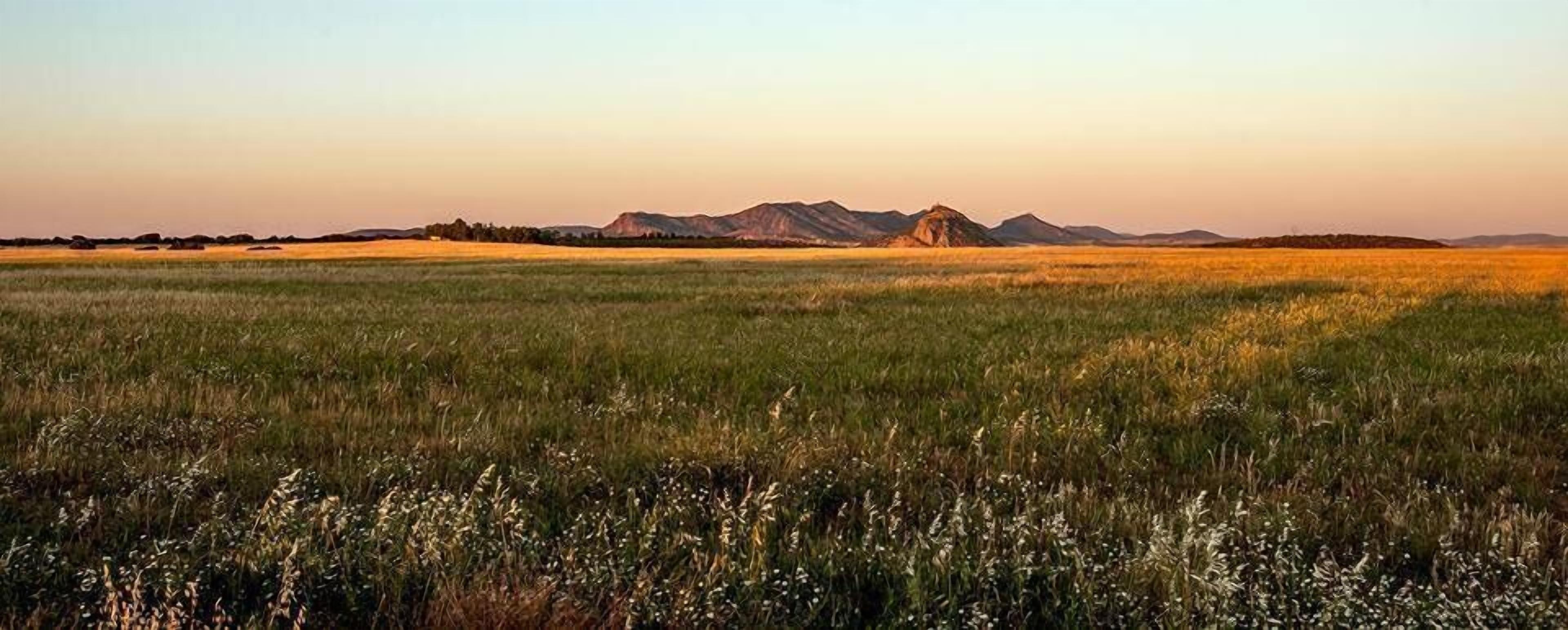A vast open field with distant mountains under a clear sky.