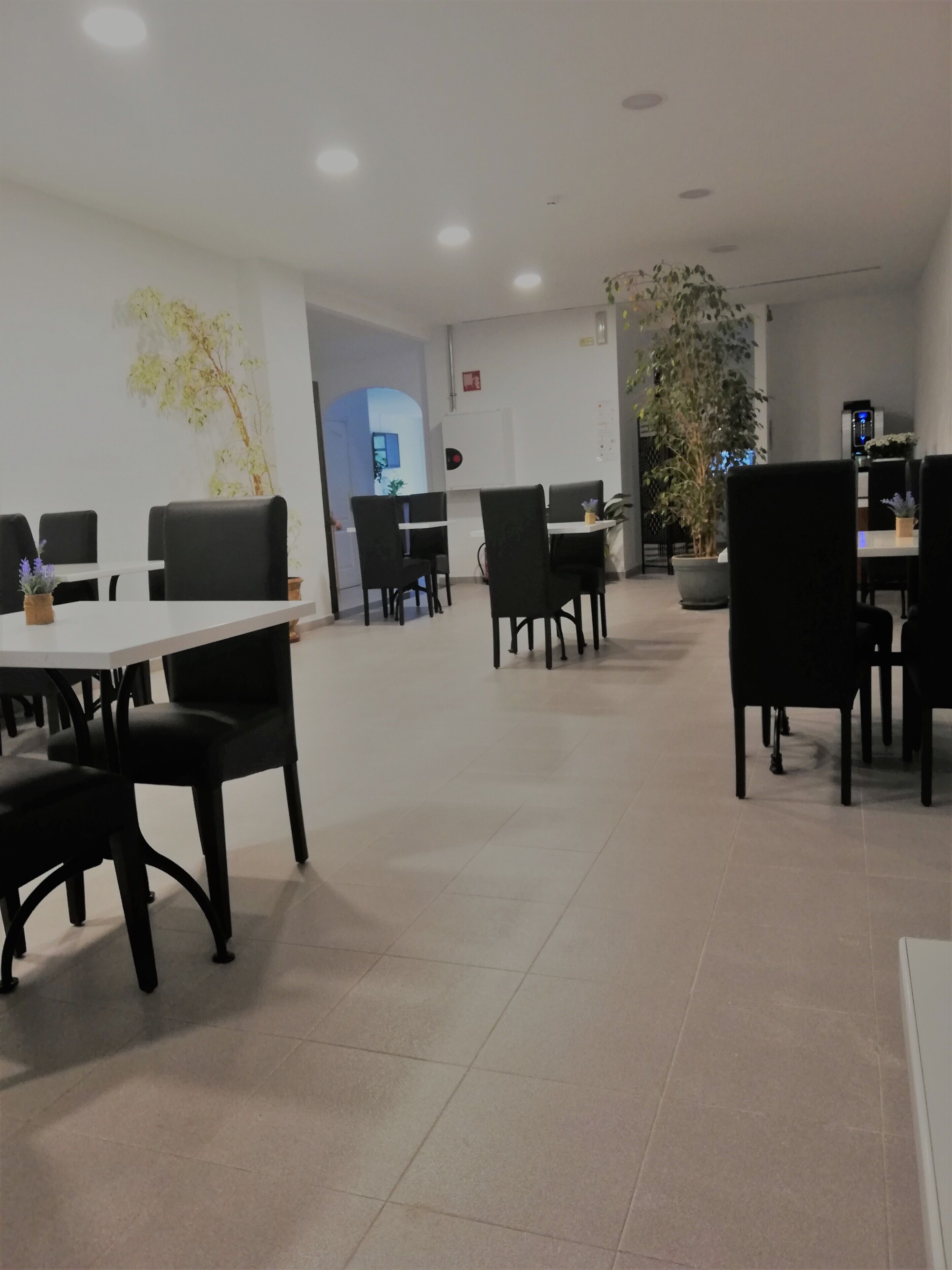 Photo - Hotel Platja d'Aro