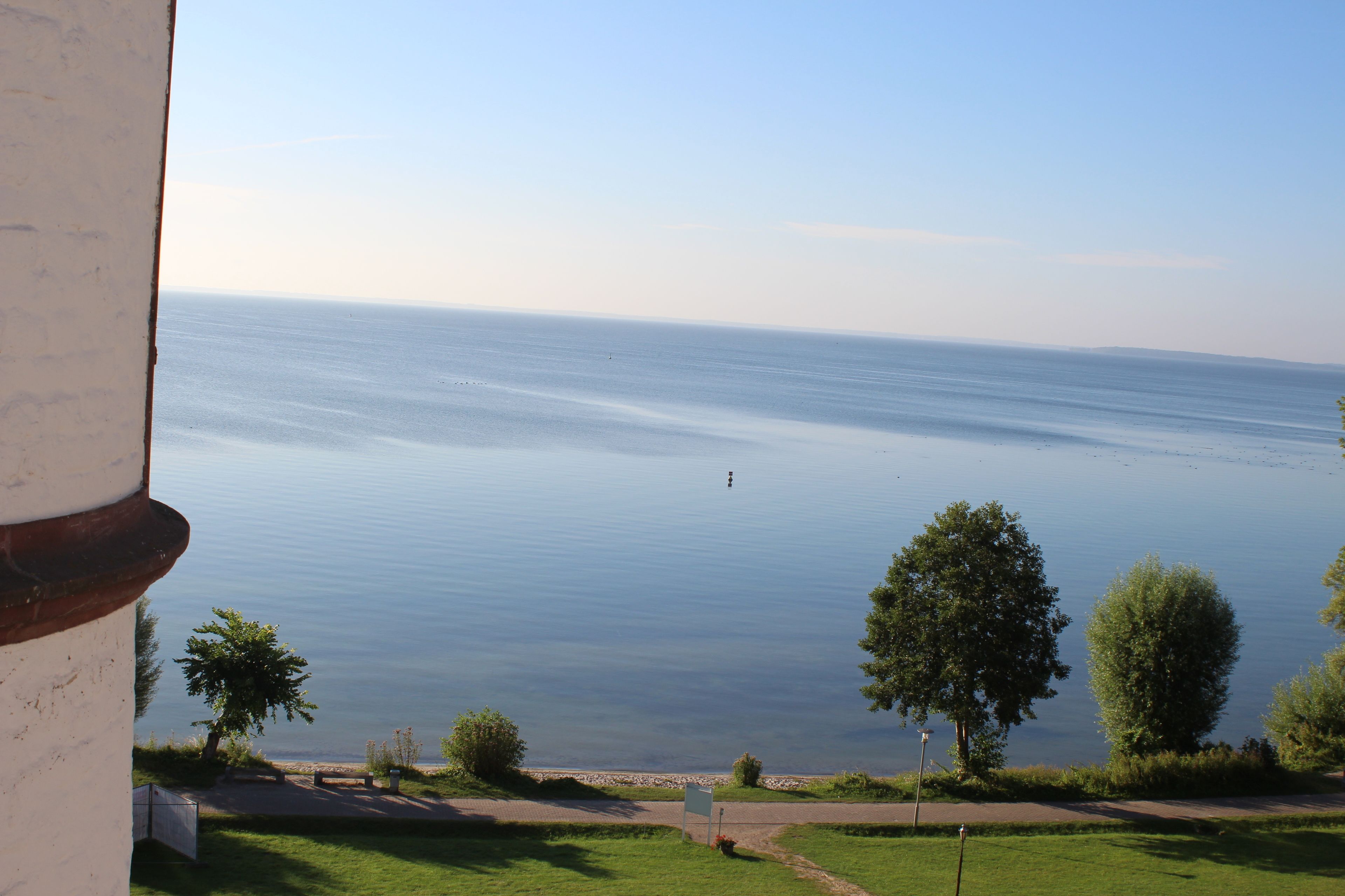 Una vista de un lago tranquilo con cielo despejado, rodeado de árboles y un sendero que conduce a una zona arenosa.
