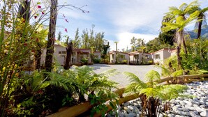 Un resort con varias construcciones tipo bungaló, un camino de grava y abundante vegetación, incluyendo helechos y plantas con flores.