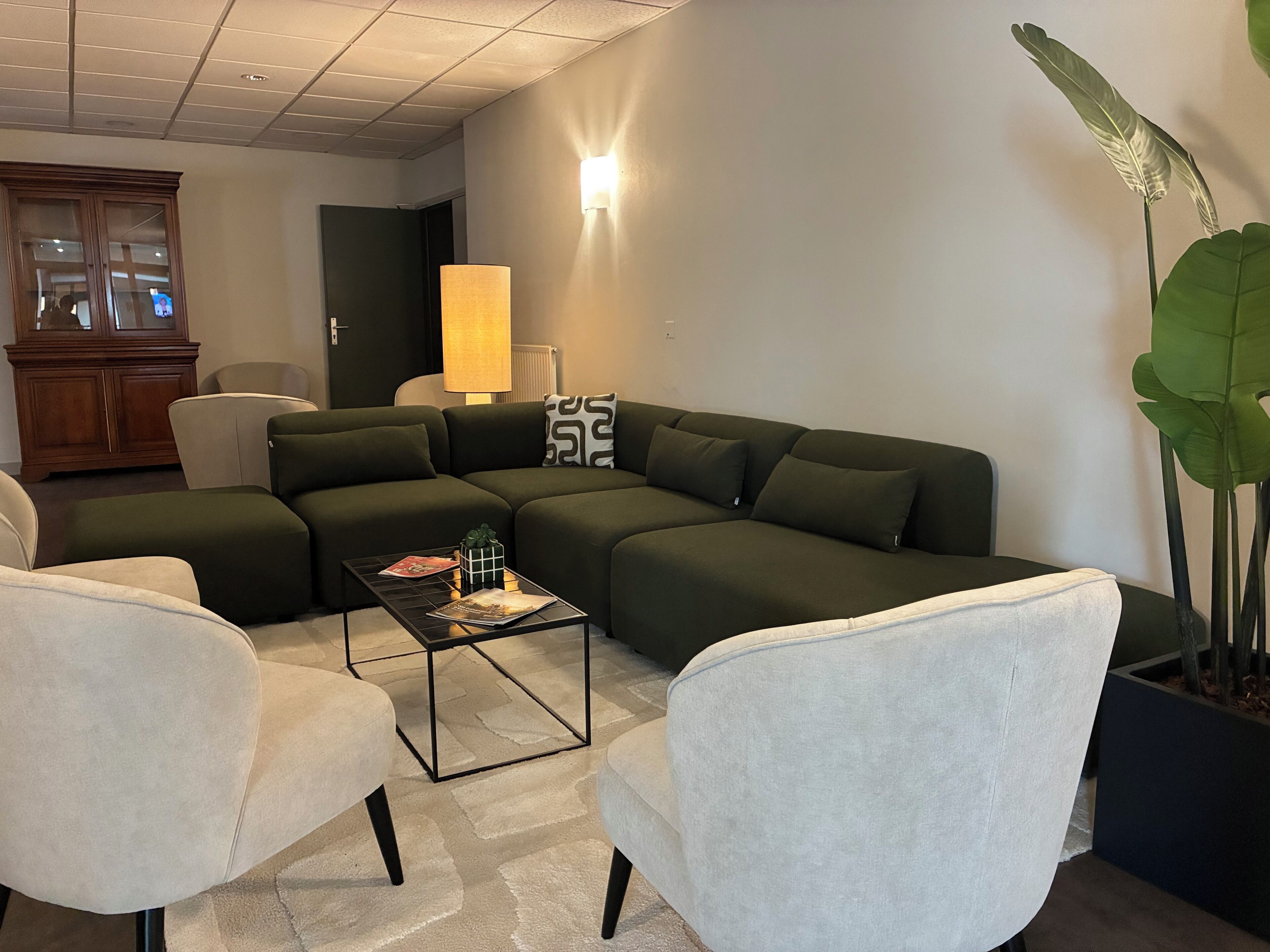 A modern living room with a sectional sofa, a coffee table, and a potted plant.