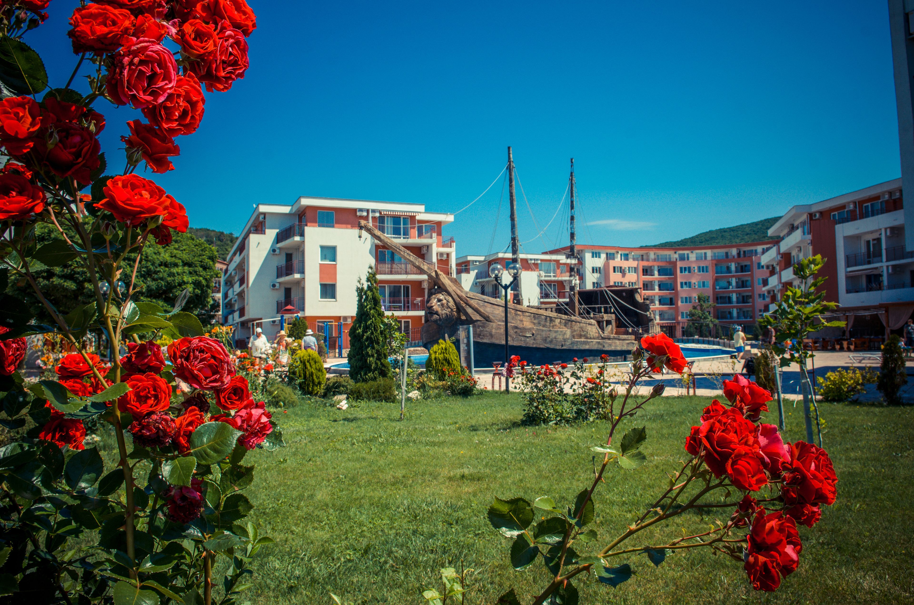 Giardino