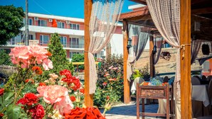 Garden - Privilege Fort Beach (Elenite)