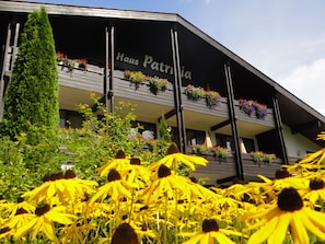 Exterior - Haus Patricia (Lofer)
