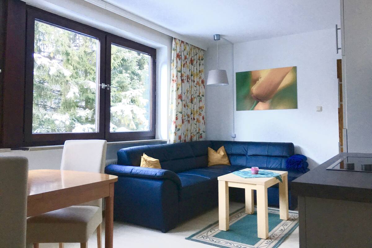 Apartamento tradicional, 1 quarto, sacada, vista para o jardim | Sala de estar | TV 32 polegadas com canais a cabo, DVD player