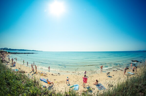Vista desde la propiedad