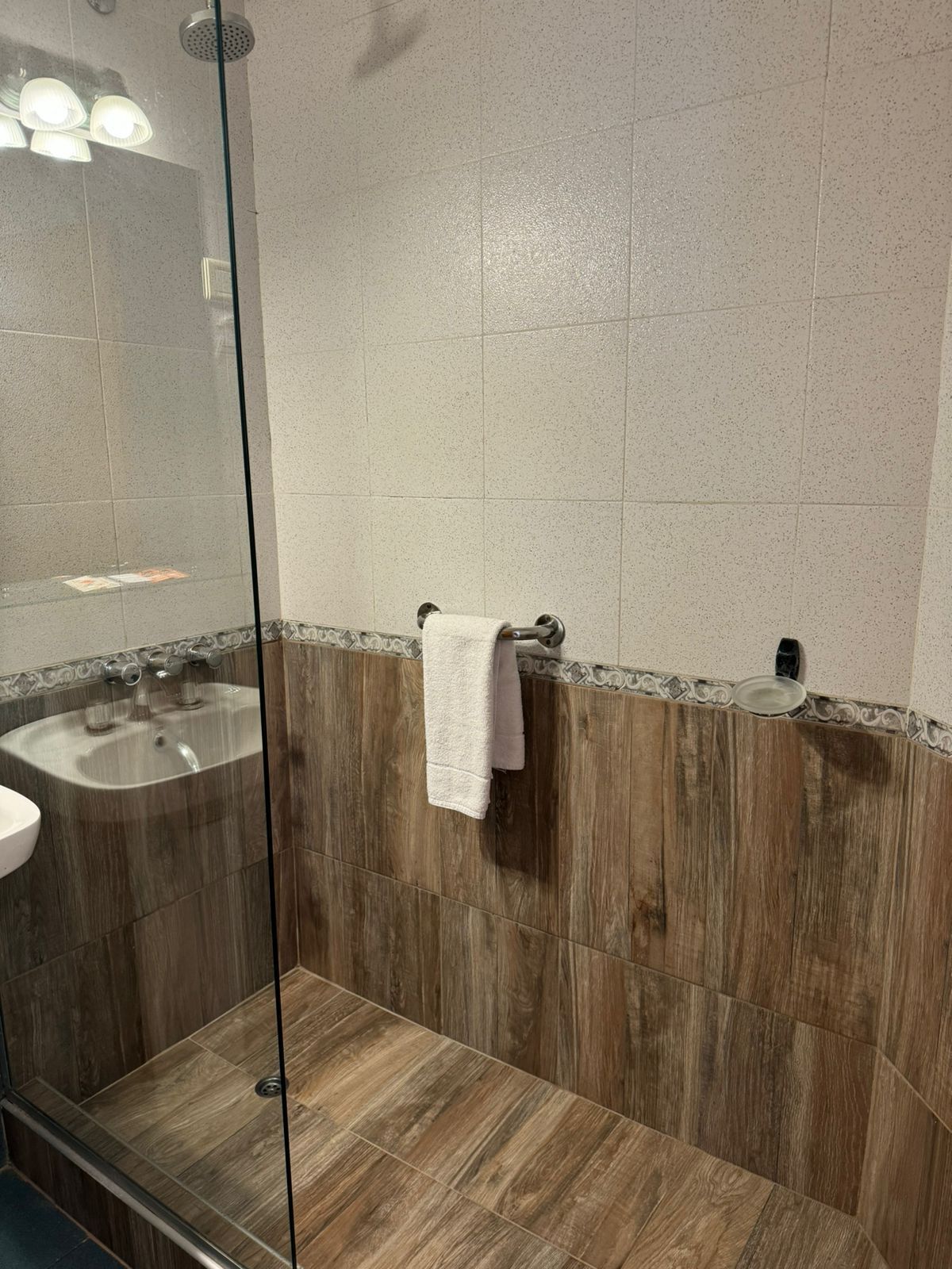 combined shower/bathtub, hair dryer, bidet, towels