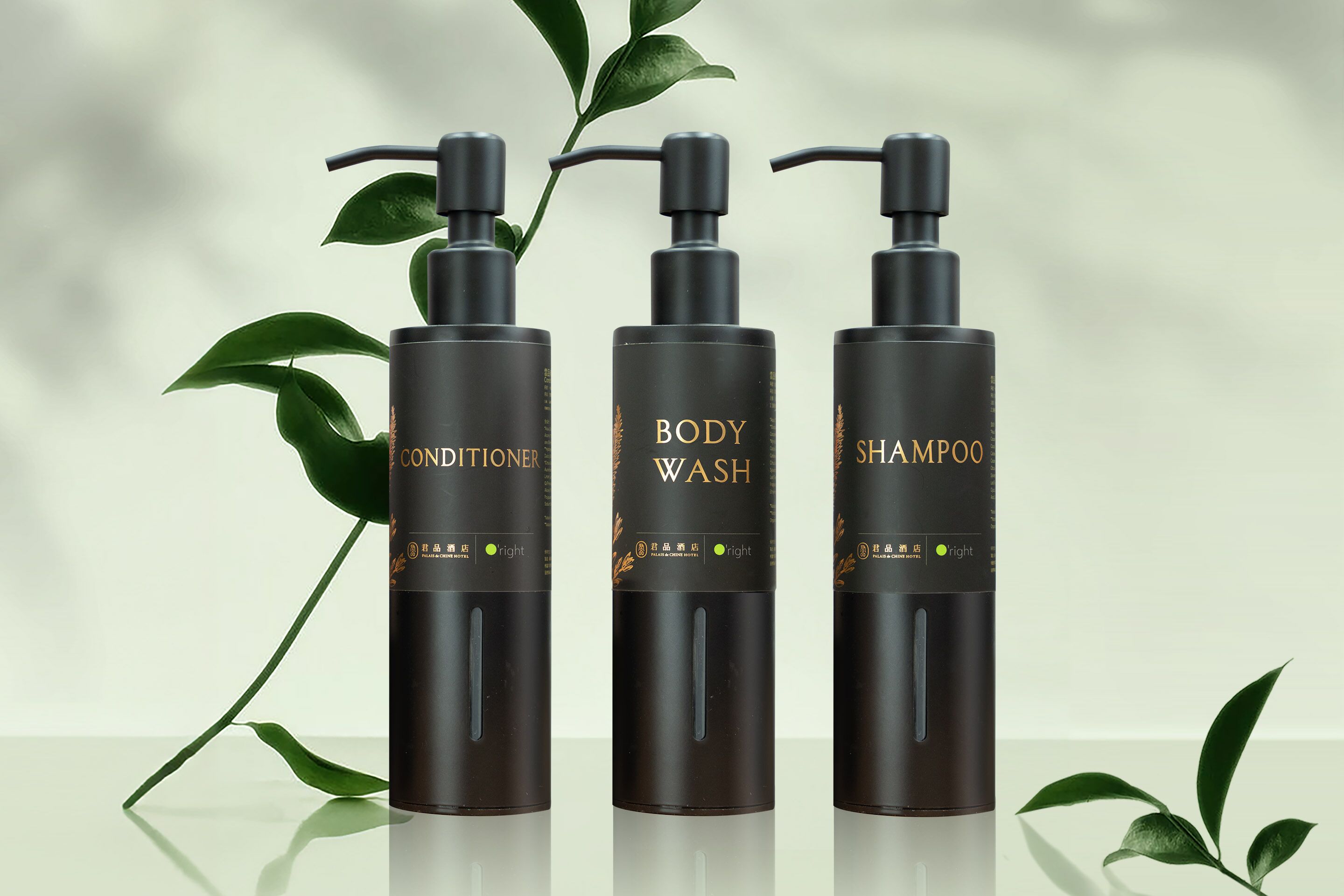 free toiletries, hair dryer, bathrobes, slippers