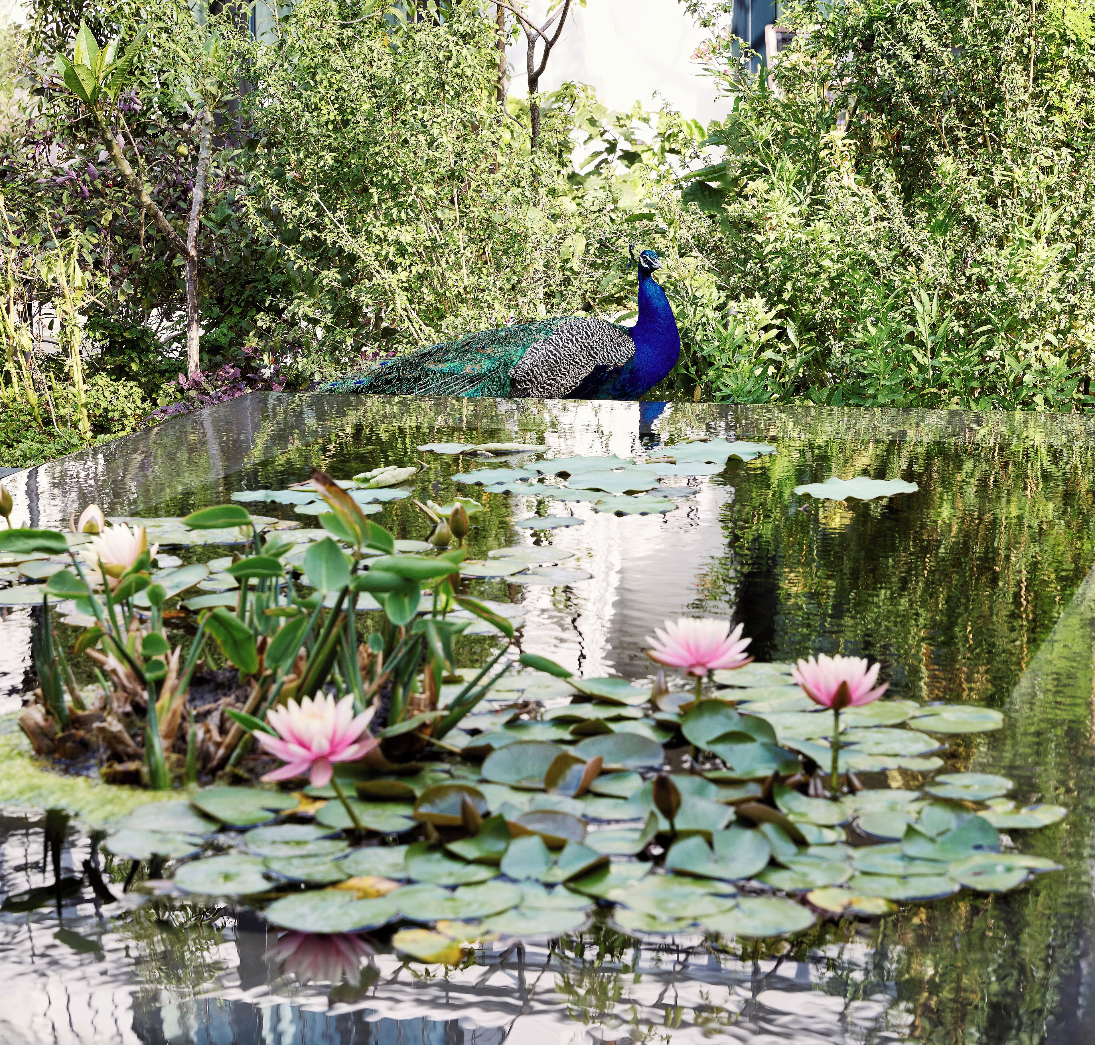 Photo - Park Hyatt Johannesburg