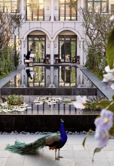 Park Hyatt Johannesburg