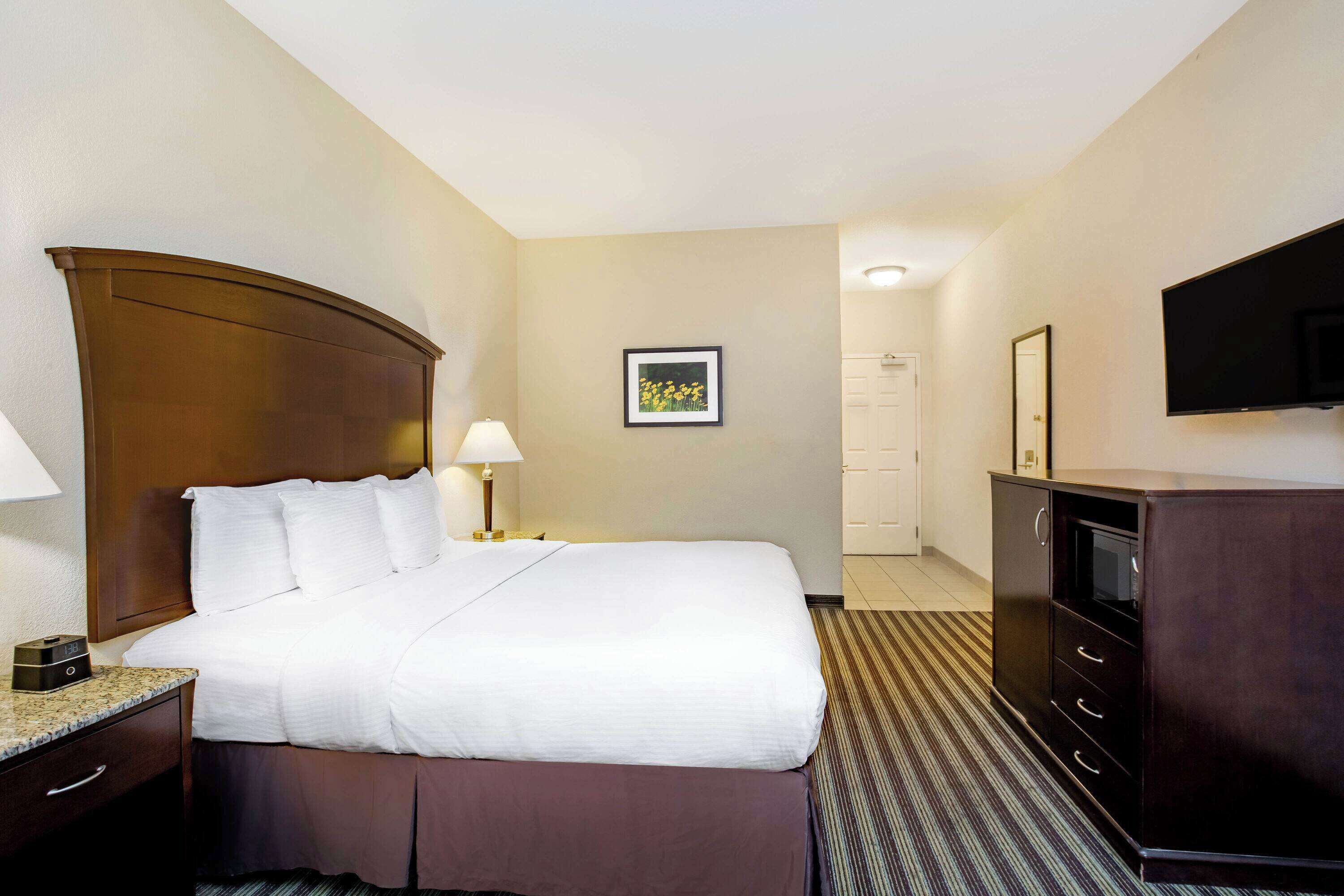 Une chambre d’hôtel avec un lit, une table de chevet avec une lampe, une commode, un téléviseur et un tableau encadré au mur.