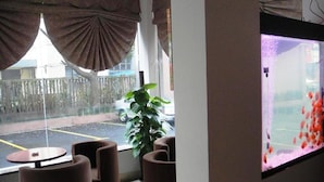 Une pièce avec une grande fenêtre, une plante en pot et un aquarium fixé au mur.