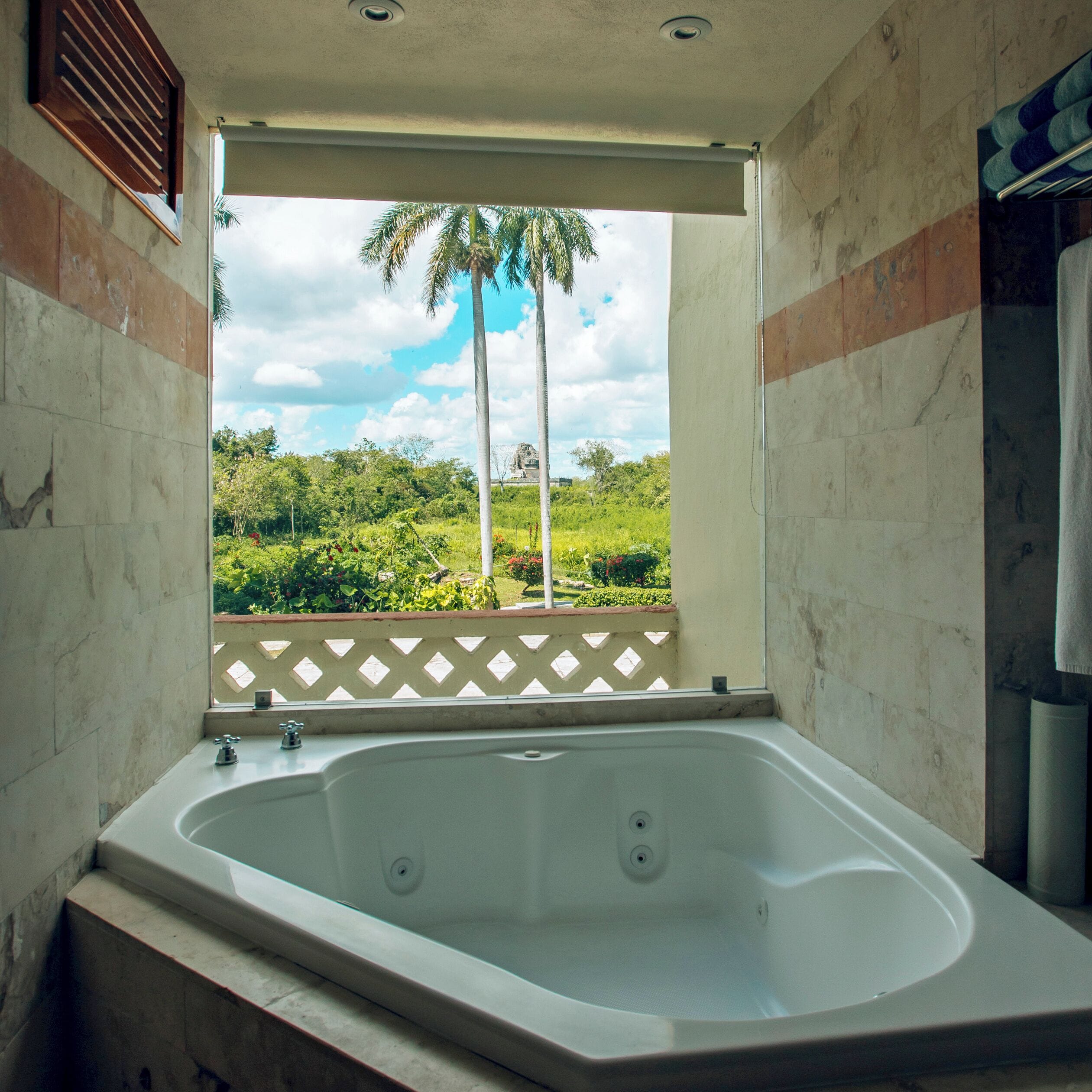 Un baño con una bañera grande, una ventana con vistas a follaje y palmeras, y una zona de ducha.