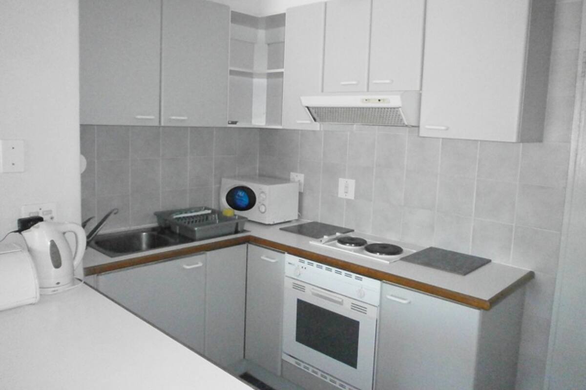 Standard Apartment (104) | Private kitchen | Full-sized fridge, microwave, cookware/dishes/utensils