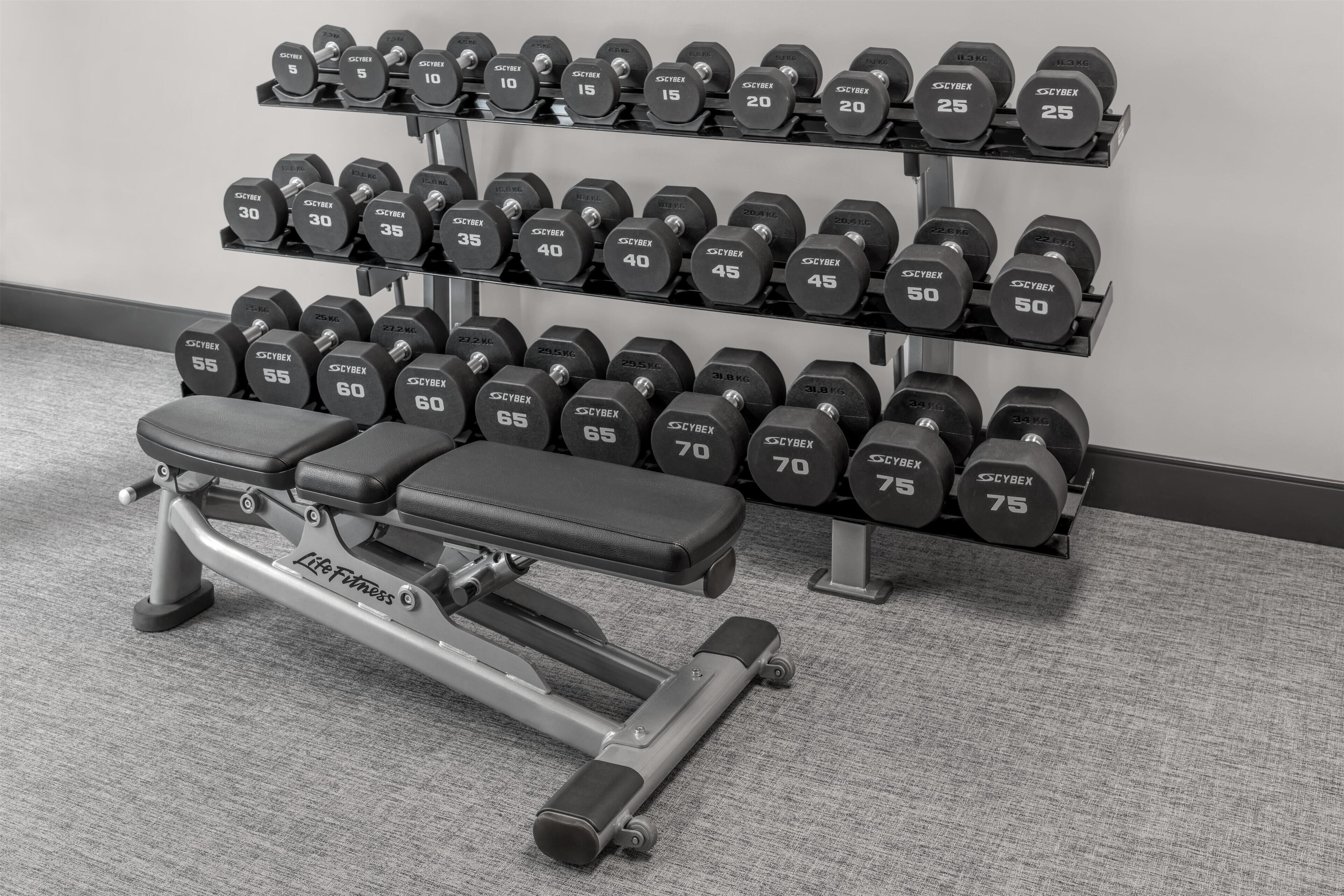Une salle de sport équipée d’un banc et d’un porte-haltères.