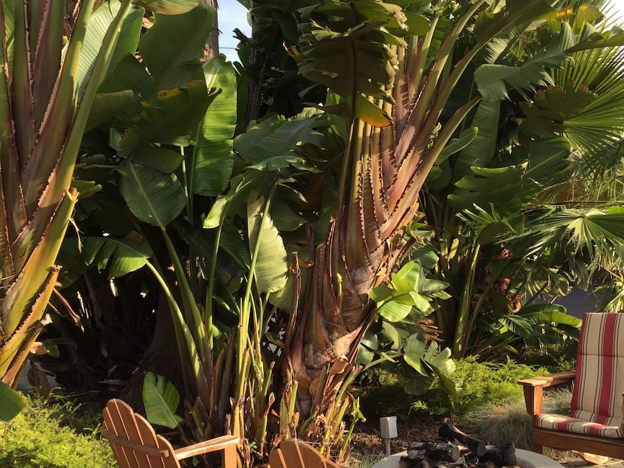 Área de parrillas y picnic