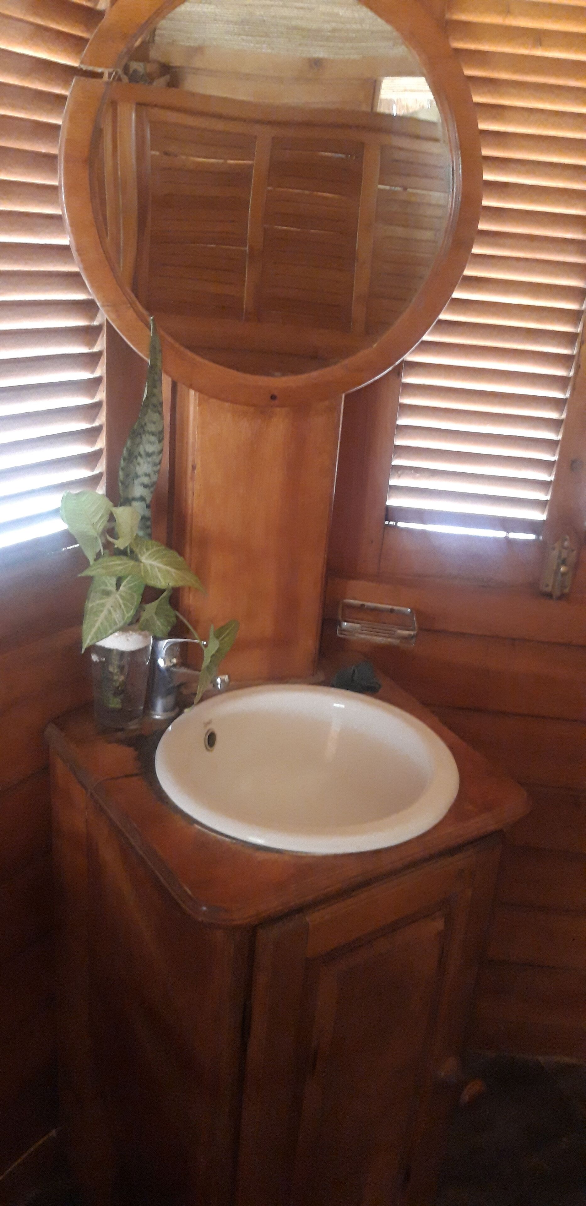 body treatments, body scrubs, facials, massage/treatment rooms