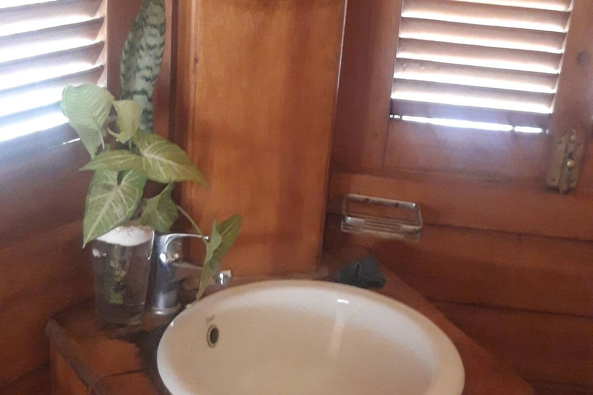 body treatments, body scrubs, facials, massage/treatment rooms