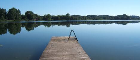 Un muelle de madera se extiende sobre aguas tranquilas, reflejando claramente árboles y el cielo.