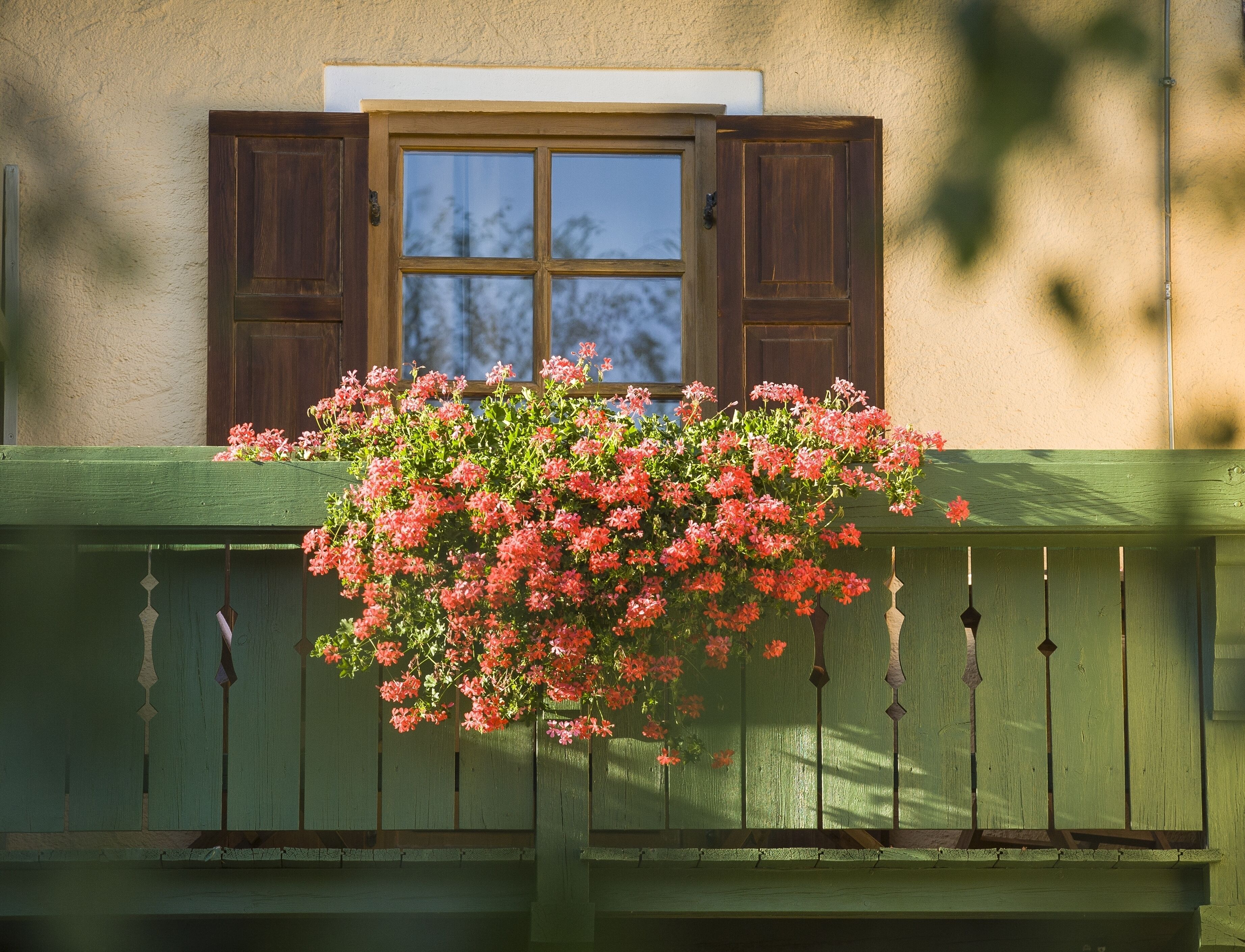 외부 세부 사진