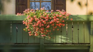 A window with wooden shutters and a flower box with pink flowers. - Hotel Gasthof Oberwirt (Obing)