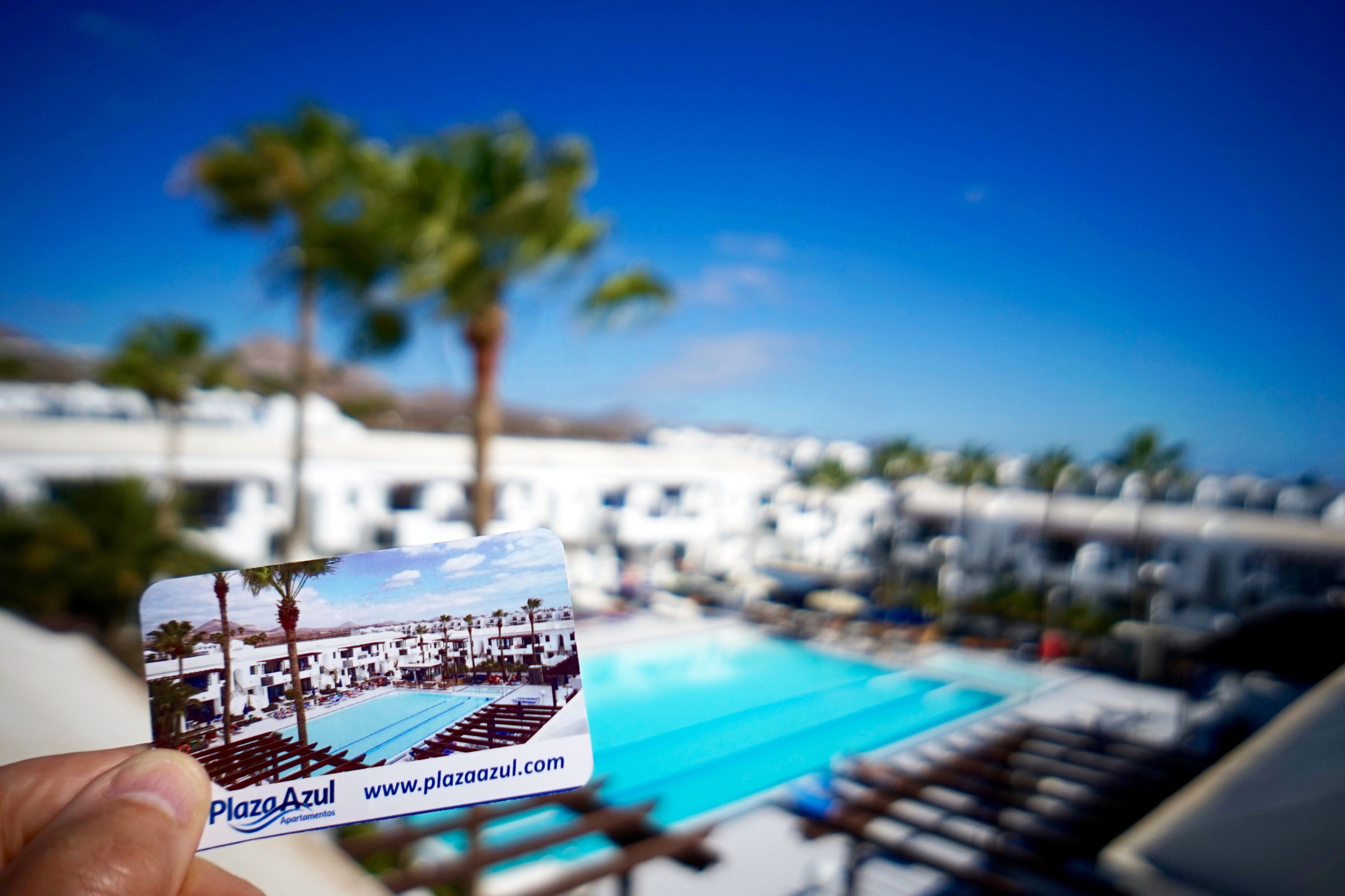 Eine Broschüre eines Resorts mit Pool und Palmen.