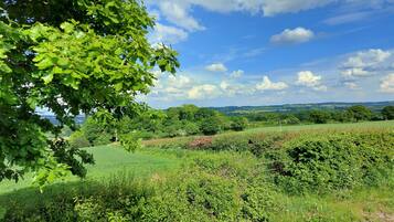 A lush green landscape with a variety of trees and shrubs, a clear blue sky, and distant hills.