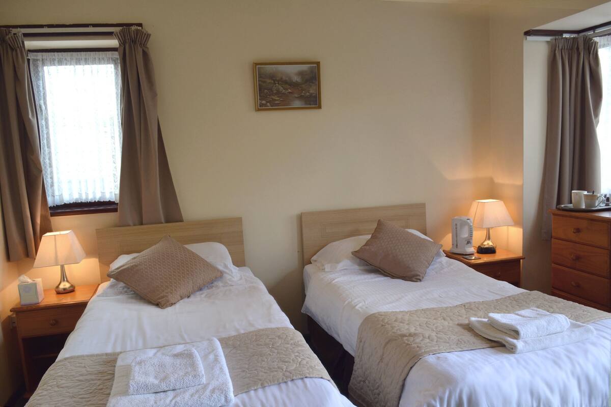 A hotel room with two beds, each with a pillow and a blanket. There is a bedside table with a lamp, a coffee maker, and a cup. A painting hangs on the wall, and there is a window with curtains.