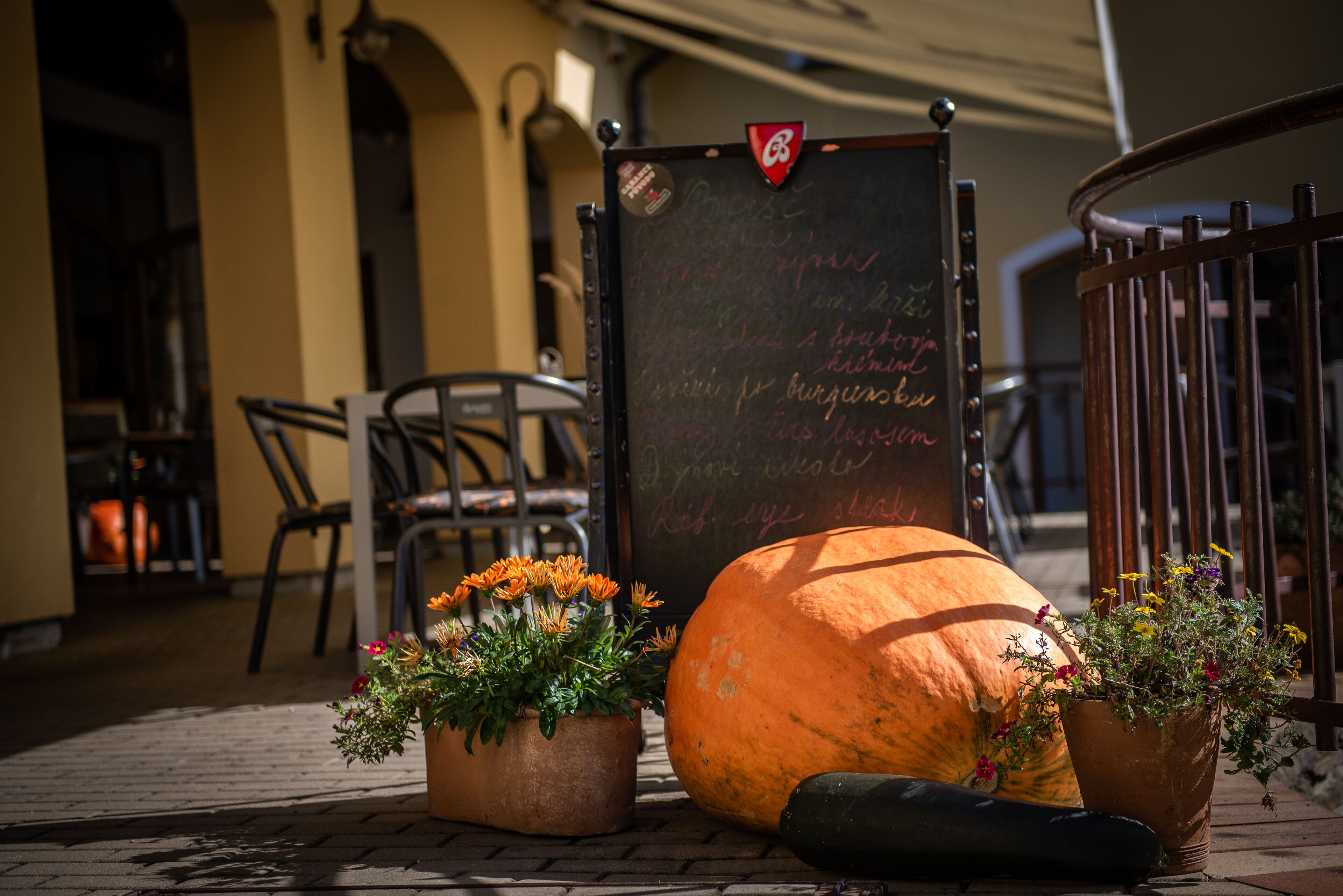 A chalkboard with writing, a pumpkin, and two flower pots on a brick-paved area.