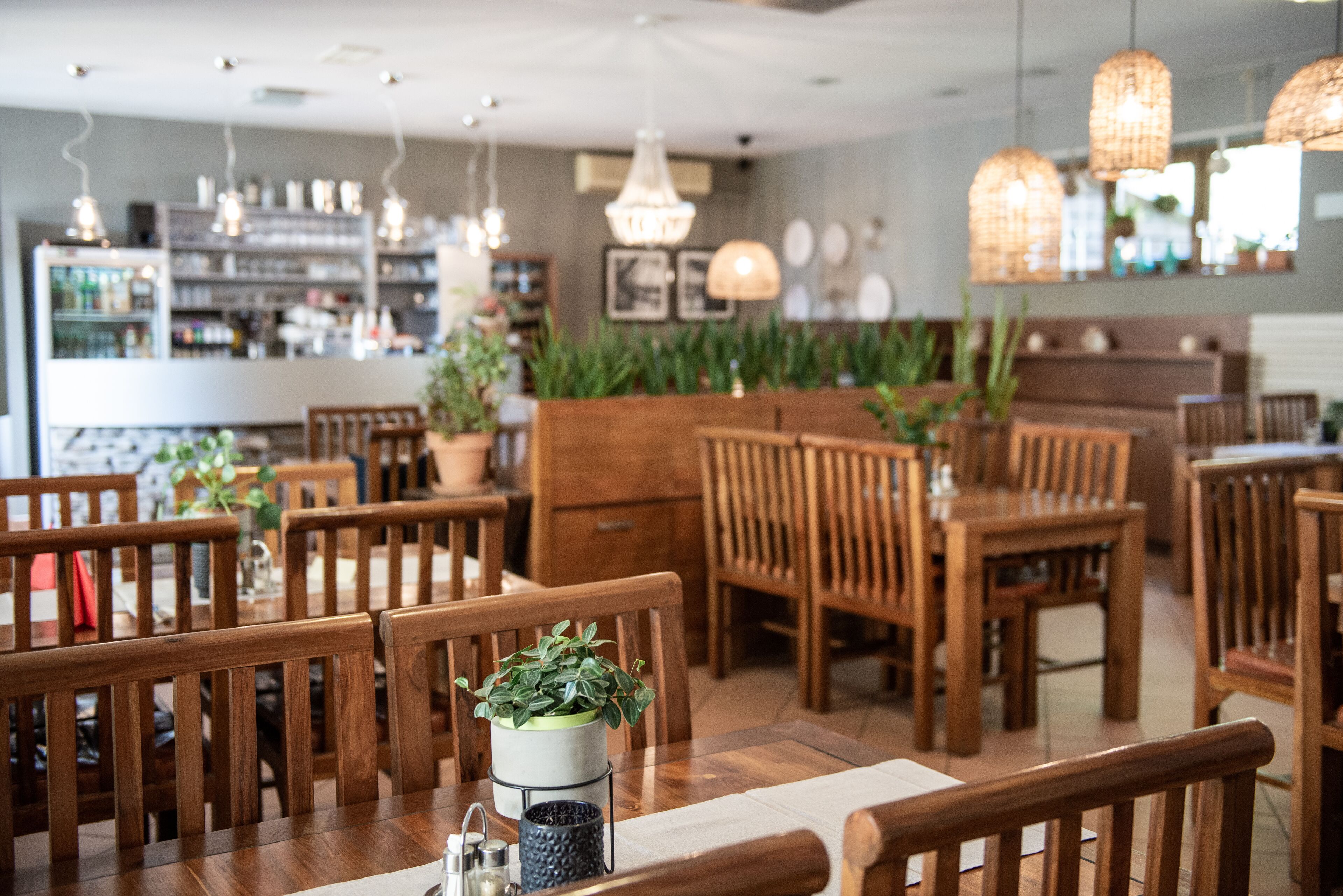 A restaurant interior with wooden tables and chairs, hanging lights, and potted plants.