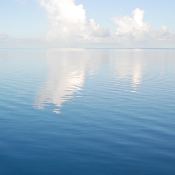 Una superficie acuática tranquila que refleja el cielo y las nubes con claridad.