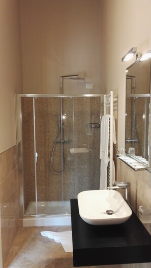 Shower, hair dryer, bathrobes, bidet